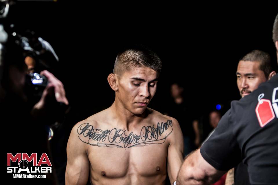 The Bantamweight Factory: How One Gym in Glendale Took Over the UFC's Most Stacked Division